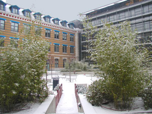 Manufacture, cour Sud sous la neige