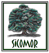 Sicomor
