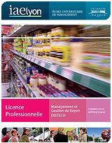 Licence Pro DISTECH Licence Pro DISTECH