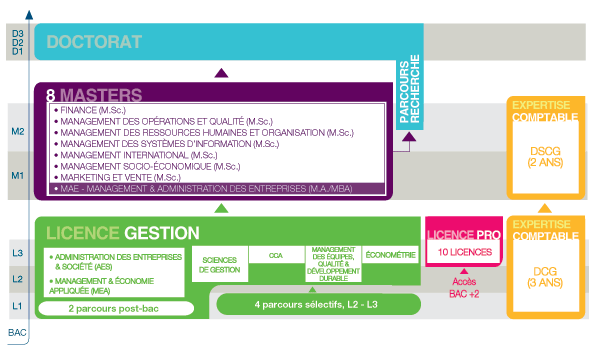 Tableau des formations de l'IAE de Lyon