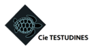 Logo Compagnie Les Testudines