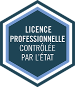 Licence Professionnelle Commerce En Banque Assurance Iaelyon School Of Management