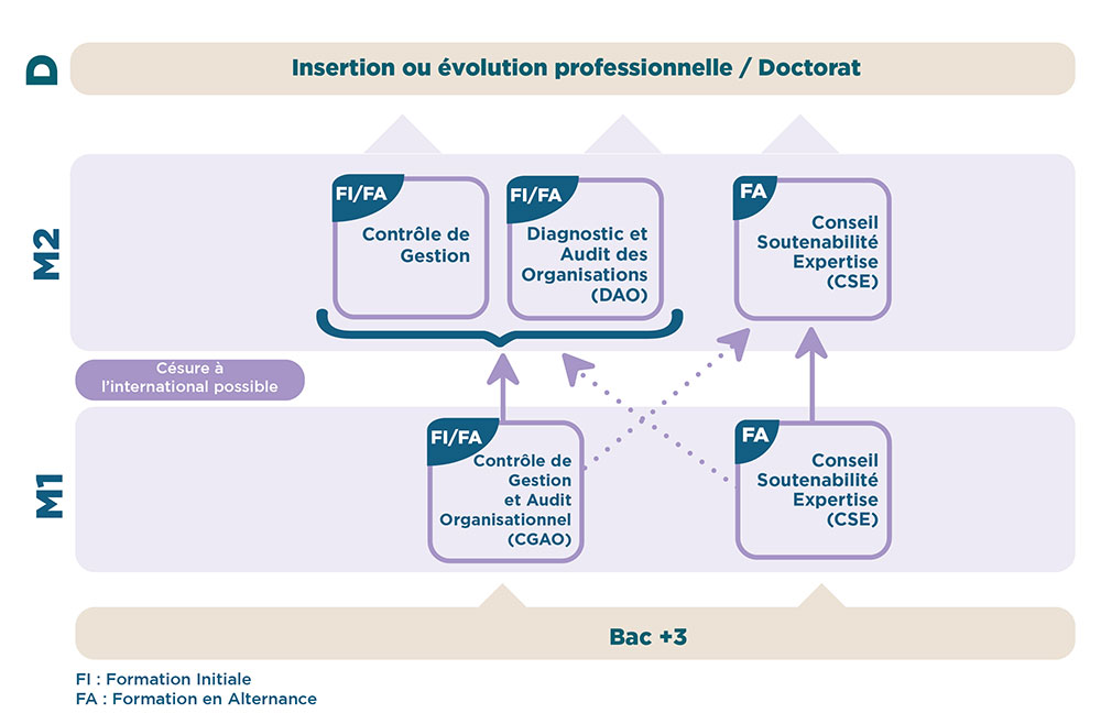 iaelyon - Schéma Mention Master CGAO