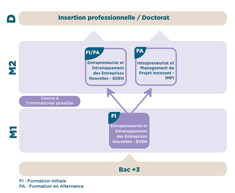 iaelyon - Schéma Master Enttrepreneuriat et Management de Projet