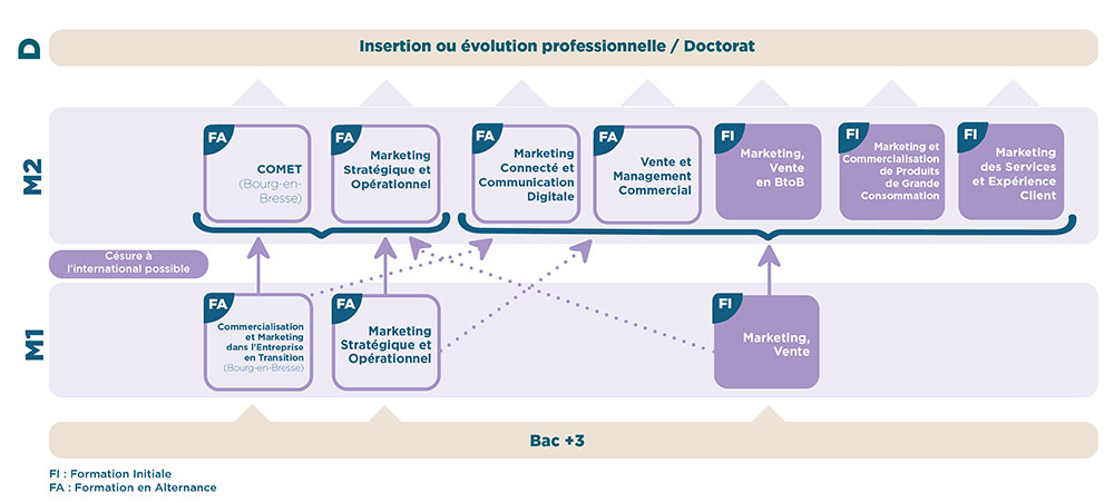 iaelyon - Schéma Mention Master Marketing, Vente