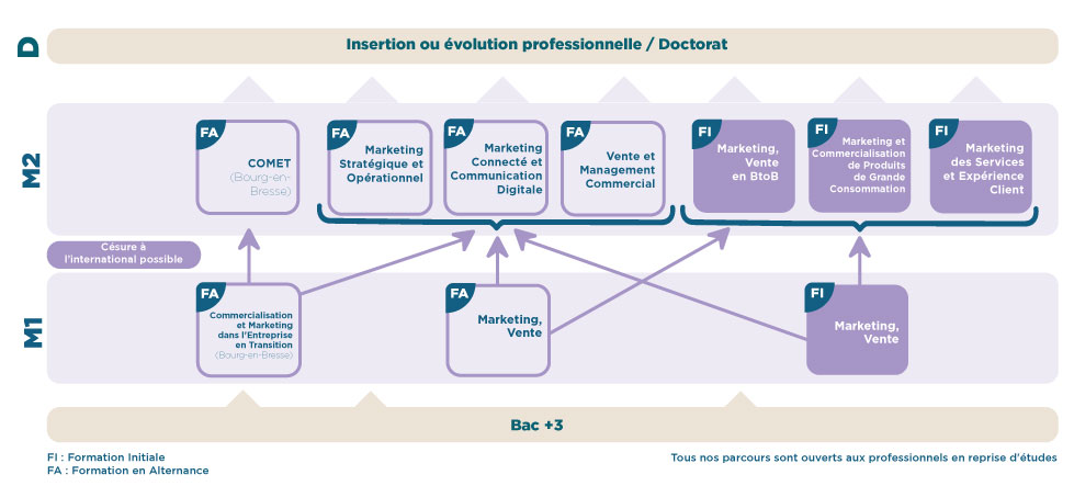 iaelyon - Schéma Mention Master Marketing, Vente