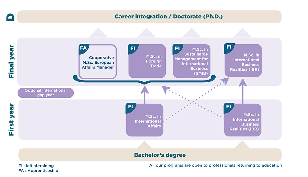 Organization of the M.Sc. in International Management