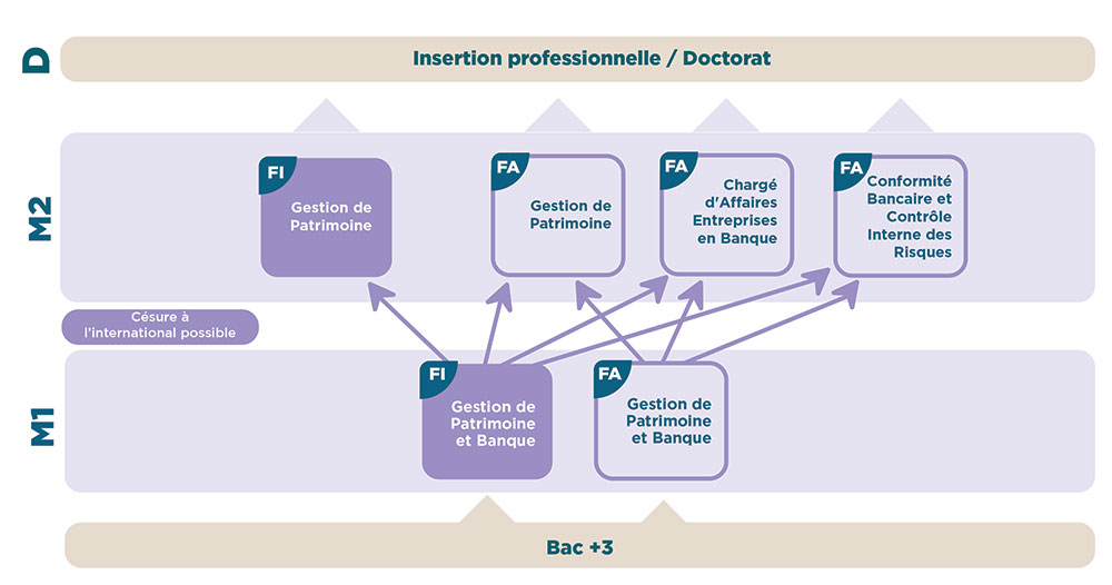 iaelyon - Schéma Mention Master Gestion de Patrimoine