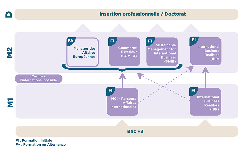 iaelyon - Schéma Mention Master Management et Commerce International