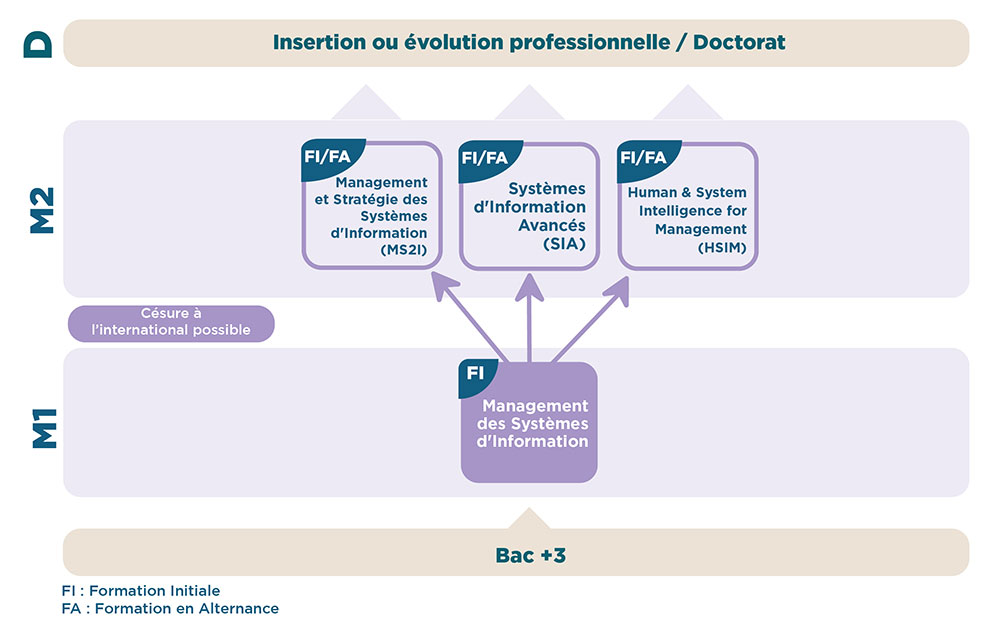 iaelyon - Schéma Mention Master Management des Systèmes d'Information