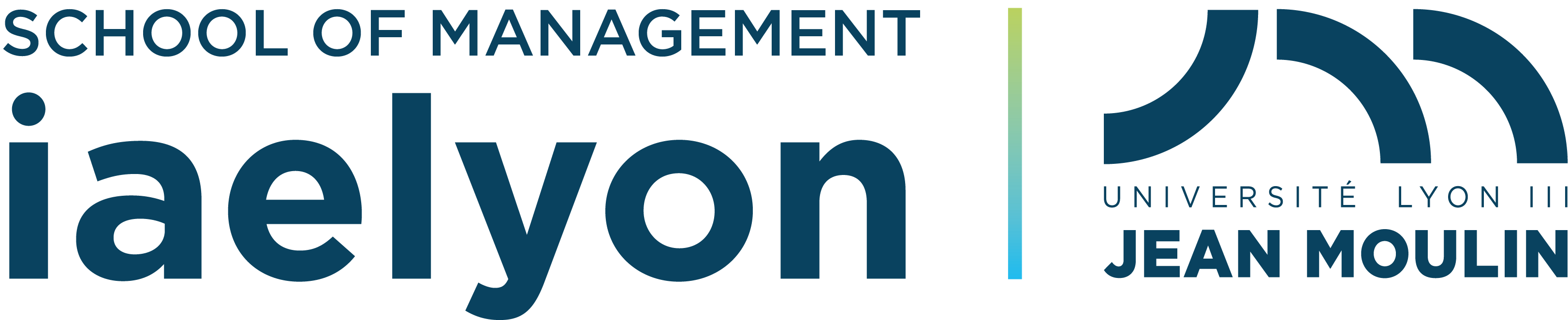 Logo iaelyon School of Management