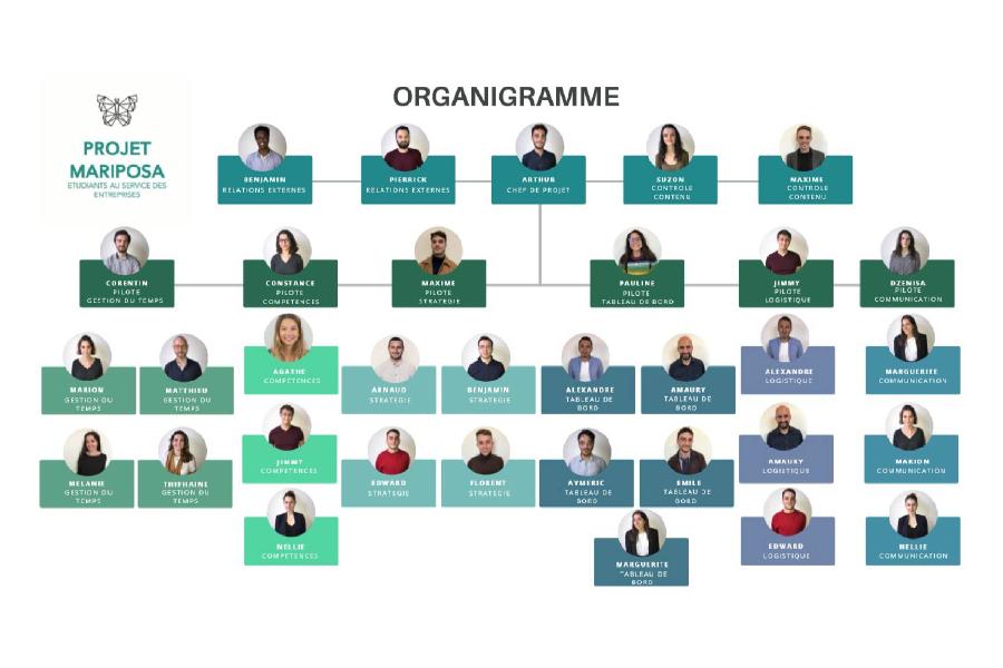 organigramme Mariposa