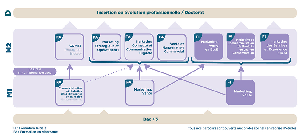 iaelyon - Schéma Mention Master Marketing, Vente