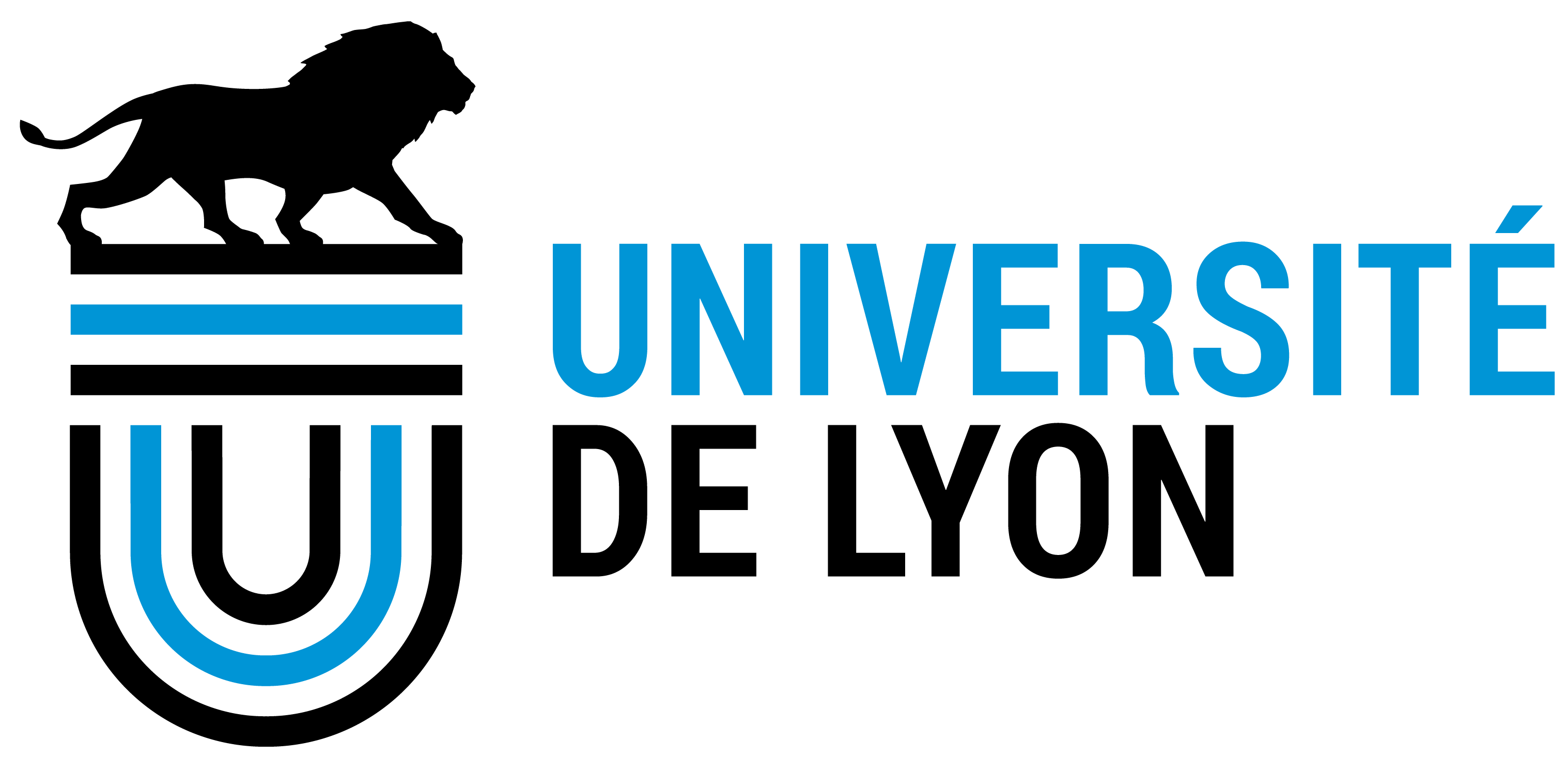 Logo Université de Lyon